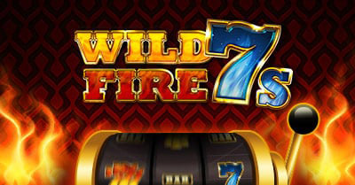 Bizzo wild fire 7